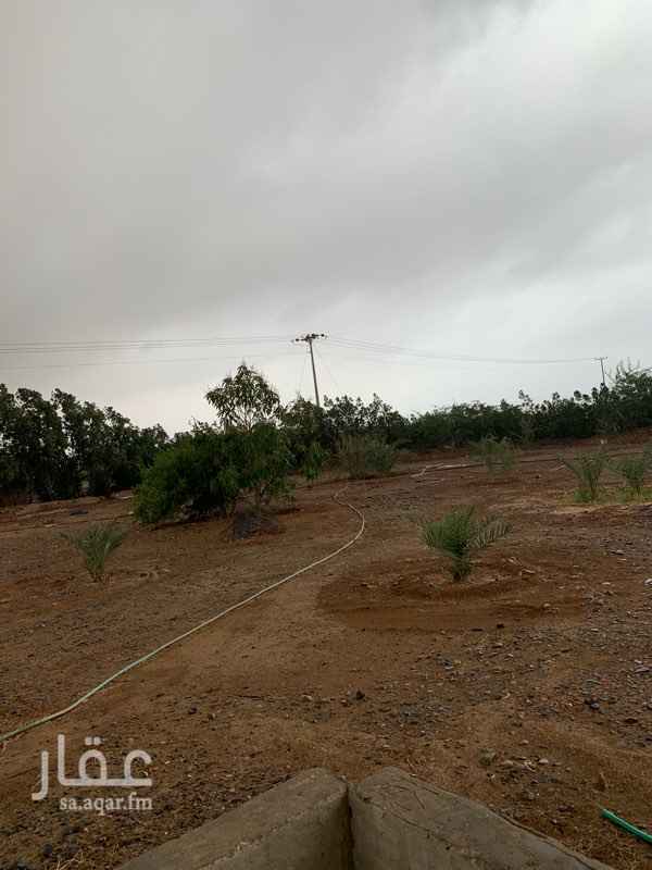 1369334 ارض للأجار السنوي
يوجد فيها استراحة من مطبخ وصالة وحمام
ويوجد فيها بير
ومحوطة بشجر بزومي
تبعد عن الكبري ممكن 1كم
موقعها مميز جداً
يوجد لها ثبوتيات من الشيخ وشهود احياء
وورقة من البلدية بثبوتياتها لدى المالك
الاستفسار تواصل واتساب او اتصال على الرقم الموجود