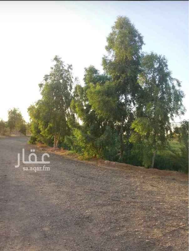 1580770 مزرعة للاجار
رفحاء - طريق عرعر قبل المركوز ٢٠ كم تقريباً
يوجد بها مجموعه اشجار متنوعه
غرف للنوم ومجالس داخليه ومجالس خارجية
للتواصل : 0566651580