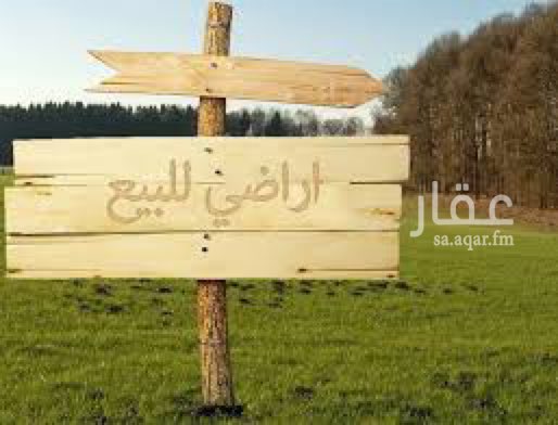 1476372 أرضين سكنيات في مخطط الجوهرة رقم ١٨٢ و ١٨٤ للبيع على شارع ١٥ تفتح شرق ، الاراضي طيبات جداً .
من المالك مباشرة
للتواصل :
0559284542