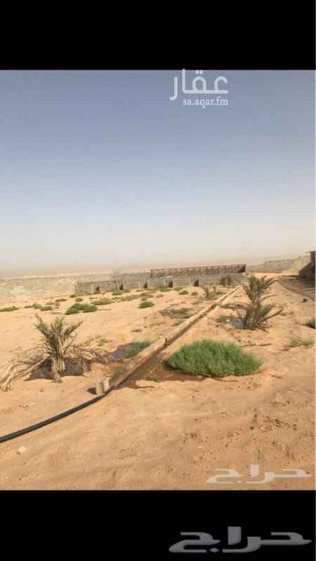 864389 استراحة بالهدية بدون صك اوراق مبايعة مسوره وفيها بير وبركة وغرفة وحمام وفيها شبوك حمام وحضائر اغنام على شارعين جنوب مخطط الفوزان الاستراحة شبه جاهزه للي يبي يحط مشروع طيور والا اغنام