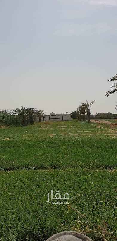 1637840 ارض زراعية للاجار لزراعة المحاصيل الموسميه الارض محروثه وجاهزه على شارعين يوجد بها كهرباء وماء في ابو معن