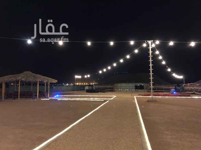1285318 التواصل عن طريق الواتس
مخيم قسمين ( السعر المعروض للقسم الواحد بالويكيند )
بيوت شعر كبيره جداً 22*10
بيوت شعر صغيره ومتوسطه الحجم
خيام
جلسات عريشيه
جلسات خارجية ارضيه ومرتفعه ( كنب )
مطبخين
دورات مياه ومغاسل مستقل
ممرات وانارات ليد
المخيم موقعه ممتاز خلف مطار الملك خالد واماكنيه دخول جميع السيارات للمخيم
المخيم هادئ جدا ووسيع وشرح
مع امكانيه جلب دبابات للاطفال
المخيم ينفع للافراد والعائلات والمناسبات الكبرى
* في حال حجز القسمين كاملة يوجد خصم *
يُفضل التواصل ع الواتس للاستفسارات