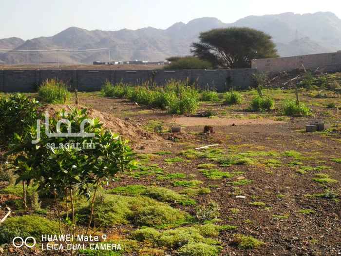 1395218 مزرعة للبيع المساحة قريب ٧ الاف فيها بئر ارتوازيه وعداد كهربا ومشب واستراحة وعدد من انواع الاشجار بوثيقة لها رقم معامله تم التقديم عليها لاستخراج صك