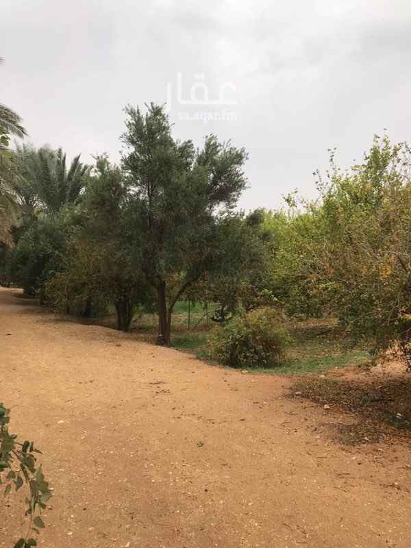 1458090 مواصفات المزرعة
طريق الخرج بين مخرج ٧و ٨
المساحه ٢٠.٠٠٠ متر مربع
علي شارعين شمالي وغربي
عدادين كهرباء
صكين كل صك ١٠.٠٠٠
مسوره بالكامل ارتفاع ٣.٥متر
مفصوله من الداخل سكن عمال ومستودعات واحواش للماشيه و الطيور والجزء الاخر مزرعه
بئر مياه ارتوازي ٣٠٠ متر عليه غطاس ٤٠ حصان
بئر مياه ارتوازي ١٠٠ متر
٢ خط تلفون
شبكة ري تنقيط وشبكة رشاشاتدفاع
٨ حصان
خزان ارضي رئيسي
بياره
مباني عباره عن مطبخ وحمامات
وملاحق ومسابح من غير تشطيب
بوابتين رئيسيه مداخل ومدخل علي فاصل
٦٠ نخله خلاص مثمر ٦٠ متنوعة