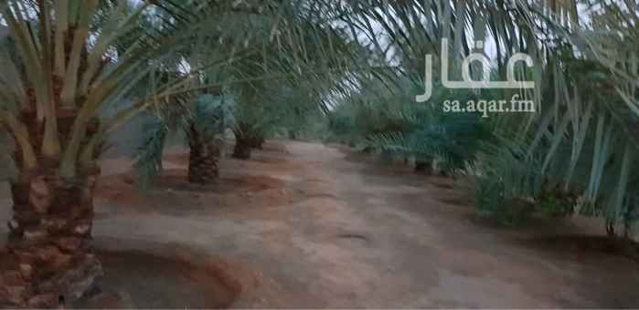 1604109 مزرعة للبيع في عنيزة تبعد ٥٠٠ م عن حي درة الروابي من جهة الشرق .....
مساحتها 6286 م
شارع شمالي طولها على الشارع 55 م
مسورة بالكامل .
١- يوجد بالمزرعة ١٤٠ نخلة متنوعة واشجار حمضيات متنوعة
٢- يوجد بالمزرعة بئرين وغطاس ودفاعه ومسبح وتمديد الماء للنخل بالليات
٣- يوجد بها استراحة مساحتها ١٣٠٠ م
للتأجير اليومي او الشهري او السنوي ودخل الاستراحة السنوي ٥٠ الف ريال وهي معزولة عن المزرعة
٤- يوجد بها مستودعات وسكن عمال متكامل
٥- يوجد بها ملاحق خاصة مع مطبخ ودورات مياه وخيمة ٥x٧ , ودكة ٥x٨
ومدخل خاص