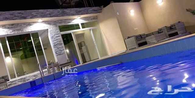 1683816 اسعار مناسبه بعد ايام العيد