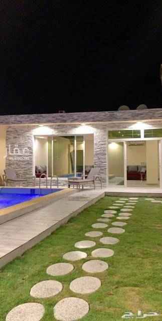 1684436 اسعار مناسبه بعد ايام العيد