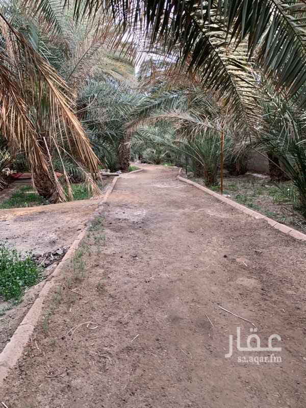 1486149 للبيع مزرعة في المدينة حي الدويخلة
تبعد عن الحرم ٦ كيلو
المساحة:١٣٦٧٧م
عدد٣ ابار ٤ بوصه
ماء صالح للشرب
من ٤٠٠-٥٠٠ نخيل متنوع
فيلا سكنية من ٣ ادوار ومسبح
كهرباء وماء عمومي
صك شرعي
اخر سوم ١٣مليون
السعر ١٦ مليون