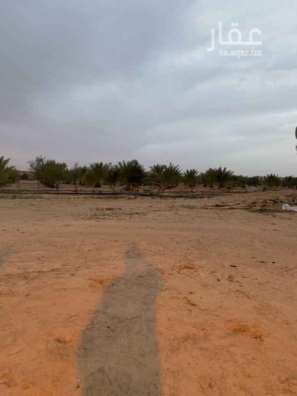 1341695 السلام عليكم ورحمة الله وبركاته يوجد مزرعه للبيع داخل النطاق العمراني 50 دنم على الأسفلت مباشره بها بئر عدد 3 وخزان ماء أسمنتي 12 متر و1000 شجرة زيتون و200 نخلة وبرسيم وحمضيات واستراحتين واحدة غرفتين ودورة مياة والثانية اكبر منها غرفتين وصالة ومجلس ومطبخ ودورتين مياه وحوش أغنام ومواعز عدد 30 راس ماعز فقطوغرفة عامل مع دورة مياة وشبك دجاج وفيه دجاج عدد 45 وفيها غطاس عدد 2 واحد إيطالي والثاني ألماني