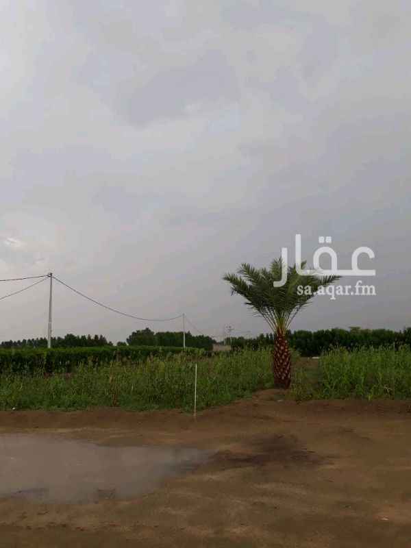 1175983 مزرعة مساحة خمس معاود ونصف وقيراط تقريبا حول ٢٠٠٠٠ متر مربع على طريق بخشة الفقهاء بجانب استراحة الشرق للمناسبات يوجد بها كهرباء و ٣ غرف وجلسة وغطاس 3 بوصة كذلك حظائر جاهزة للحلال ومسورة بالكامل بشبك واشجار
معاملة الصك في الامانة على وشك بعثها للمحكمة
