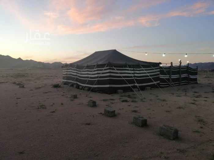 1658591 أستراحة مساحته 920 +ارض فضاء كبيره أكبر من الاستراحه
الاستراحه فيها كهرباء وجاهزه لسكن تتكون الاستراحه من غرفه ومطبخ ودورة مياه وحوش كبير.. الموقع المندسه بعد أبتدائية البنات بالنسبه للموقع موجود بالإعلان ودقيق. مرقمه من البلديه.