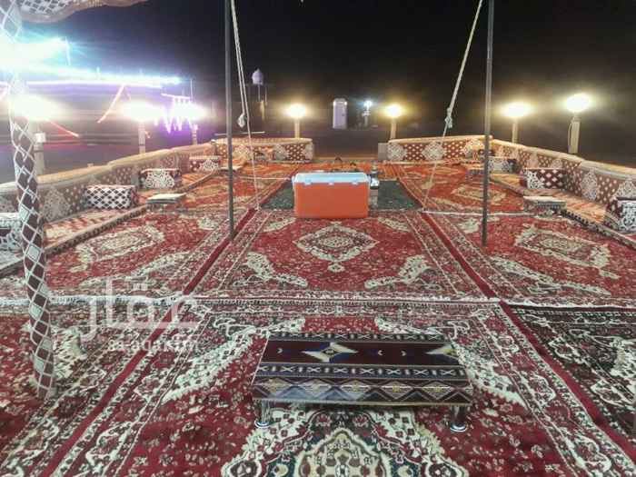 1251777 أهلا بكم في مخيم🏕 الاصاله⛺⛺⛺🎪🎪.. الموقع 🌏شمال جده ..رحيلي المدينه الكبري ثاني يسار.. قريب خليج سلمان
يوم الجمعه 1500 ..
عير الويكن 600 ..
العاب🎡🎡🎡🎢🎢🎢 اطفال.. مرجحه🌪🌪 ونطنيطه ..
..حفرتين مندي.. ودبه غاز ..وبراريد شاهي.. ودلات قهوه.. ومشب ..وتلفزيون .. وملعب طايره ...الطلب والاستفسار
رقم 0564547780 تواصل تصال ا وتساب 0578770041