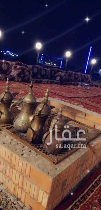 1316854 مخيم قسمين رجال ونساء مجهز منوالي قسمين 0563618167 ابو ابو احمد