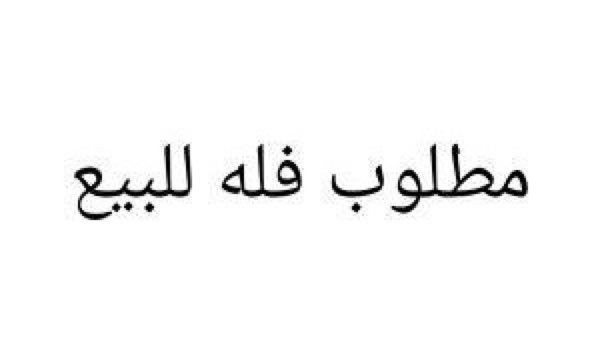 1636937 مطلوب فله في السنابل الاجاويد الطحلاوي بحدود هذا السعر 850000الف
تقبل البنك
التواصل على جوال 0564555343