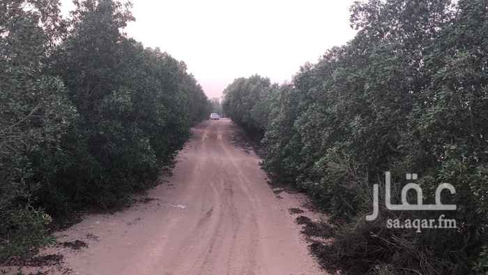 797512 مزرعة في موقع مميز على شارع مميز بصك مميز تبعد عن مطار الملك عبدالعزيز بجدة 75 كيلو بها 3 ابار ارتوازية مياه حلوه الحمدلله ونخيل وشجر لوز وليمون وسدر وشيح وبزروميا تصلح تكون مخطط مزارع على مساحات موزعة على 10000 متر مربع وصالحة للاستثمار في محافظة خليص /غران
والاتفاق بما يرضي الطرفين باذن لله