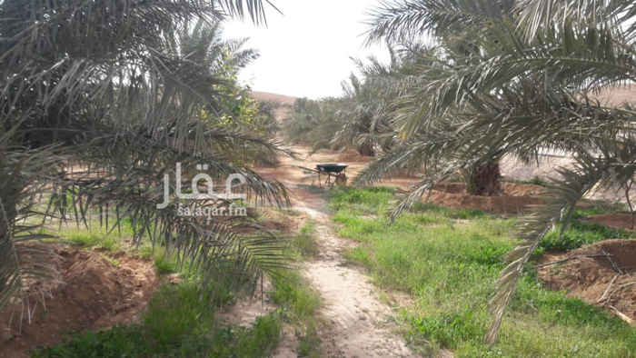 1359937 للبيع مزرعه مناسبه للاستثمار الترفيهي والسياحي بمنطقه الخير .اقل ٣٠ دفيقه من الرياض. تحتوي علي فيلا دور ومظلات ومسبح منطقه الشواء. مضمار لممارسه الرياضه .مجلس ومطبخ وحمامات خارجيه عدد ٢٦٠ نخله من افضل الانواع. الماء وفير والكهرب والاسفلت واصل سكن وامظلان خارجه للعمال وايضا للمواشي.
