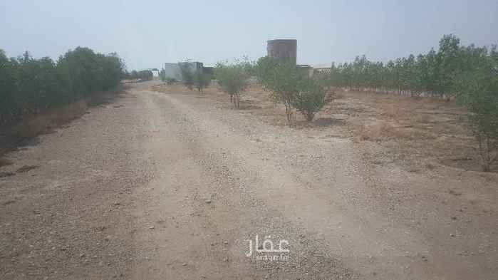 1490410 للايجار مزرعه في منطقه الخير شمال صلبوخ . الماء عذب بوصه ونص خلال ٢٤ يشتغل ٧ ساعات . اشجار عبري ومصادات رياح.
بيت شعبي. كهربا. ١٠٠ نخله مثمره .