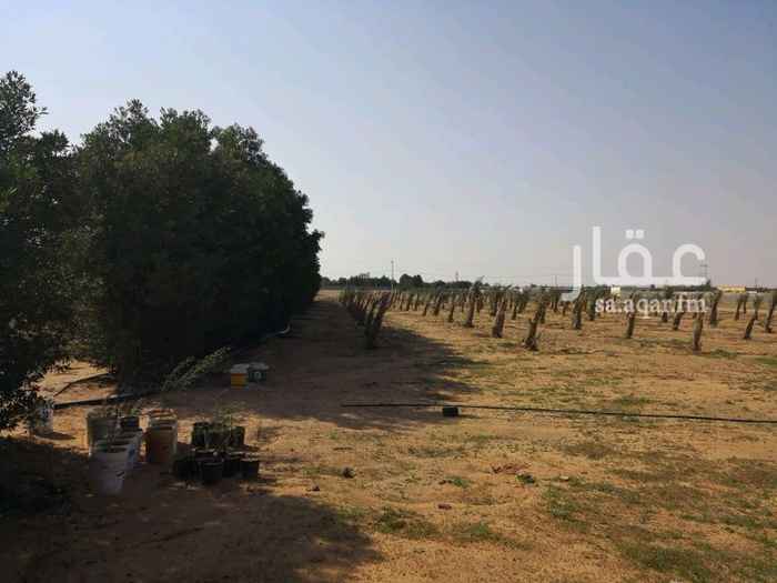 1303765 استراحه فيها بير جديده بتصريح ونخل ومشبكه بارتفاع3متر جاهزه للبناء والتخطيط