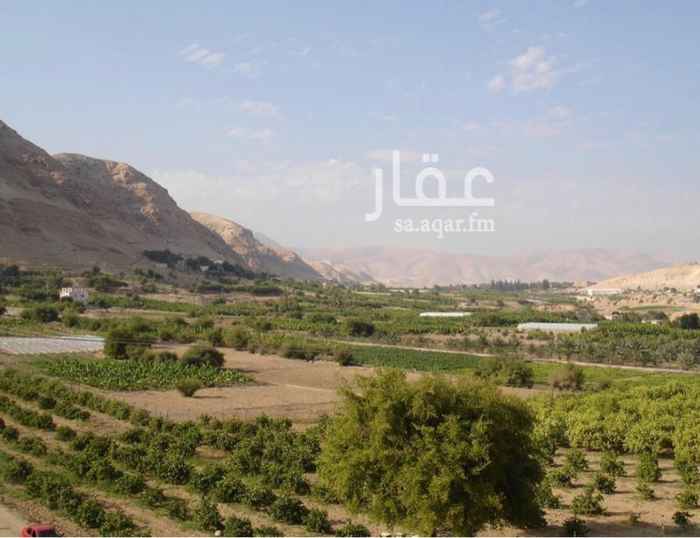 1568998 السلام عليكم
مطلوب مزرعة مساحتها من 10000 م مربع
إلى 20000 م وفيها بير وماء حلوه
وبسعر معقول جداً
شاكر ومقدر لكم تعاونكم