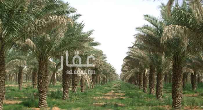 1421320 مزرعه خاصه لإنتاج التمور في منطقة المدينة المنوره .
*اهتمام خاص جدا من القائمين عليها ومن صاحبها تحديدا .
مساحة المزرعه 70.000 م2
يوجد بها 3 ابيار - و قلعه مبنيه من الحجر الطبيعي و استراحه - استراحه للعمال - مسفلت الطريق الى مدخل المزرعه والكهرباء واصله للمنطقه
- 700 نخله مع مختلف انواع التمور الممتازه مثل العجوه والعنبره والصفاوي والروثانه
انتاجية المزرعه اكثر من 400.000 سنويا .
التواصل :
0565668887