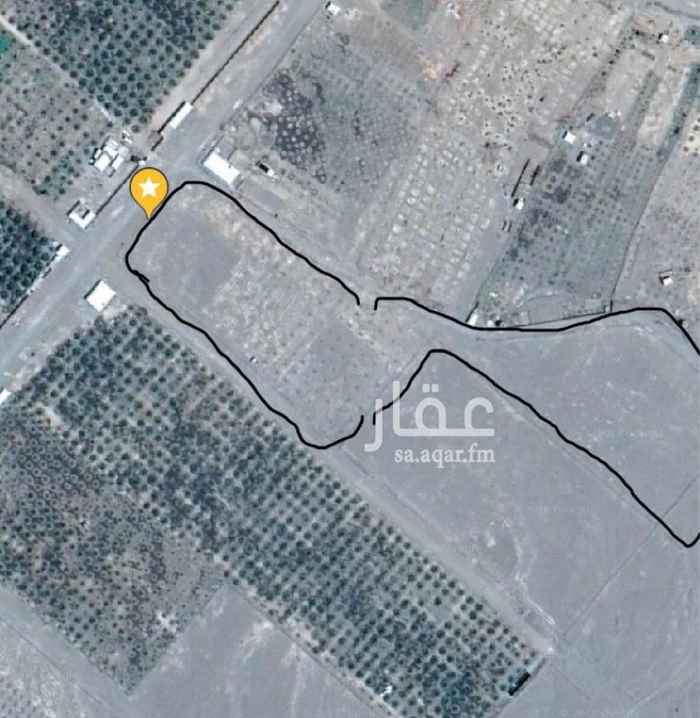 1292421 ارض زراعية بصك شرعي