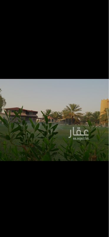 1660366 مزرعة للبيع في جو غرب الرياض مساحتها ١٧٠٠٠م يوجود بها جميع انواع النخيل والحمضيات اكثر من ١٥٠ نخلة وشجرة، مدخل سيارات •مسطحات خضراء•نوافير جمالية ملعب• جلسات •مسبح •فيلا دورين كبيرة بغرف وصالات•بيت شعر •برج مرقاب بأعلاه جلسة •جلسات مودرن مفتوحة• بير ارتوازي• ارصفة وممرات وطرق للسيارات ودوار• لمبات جمالية للممرات•غرف حراس• العاب مائية• تصميم جدا متقن وراقي للمنتجع الزراعي•الموقع غير دقيق