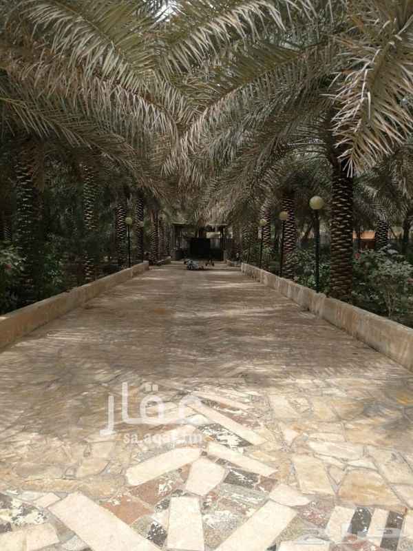 1186939 مزرعة مسورة وراقية جدا
يوجد فيلا تصميم هندسي فخم تحتوي على
غرفتين نوم
صالة ومجلس نساء
مجلس رجال مدخل منفصل
مسبح وغرفة مطله على المسبح
مطبخ داخلي وخارجي
موزع
حمامين داخلي وحمامين خارجي
احواش غنم وطيور ودجاج
مدخلين خارجيين جراج ومدخل خلفي باب
عين عميقة وعين سطحية
شوارع مفروشة حجر ورخام
