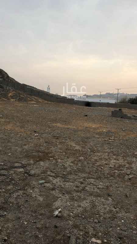 1718694 حوش للإيجار او للبيع بمساحة 5000 متر يوجد عداد كهرباء 100 أمبير على نظام الجهد الجديد ومرافق غرفة ومطبخ وحمام وخزان ماء