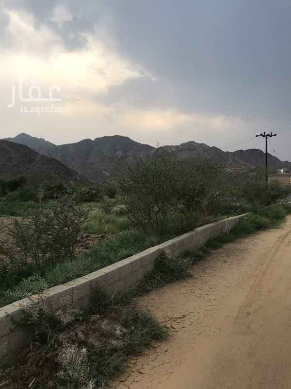 1699512 ارضيتين متجاورتين بصك شرعي على شارع 25 وممر 6 متر بمخطط الجوفاء رجال المع خلف مستودعات ادارة التعليم
قابل للتفاوض بالمعقول