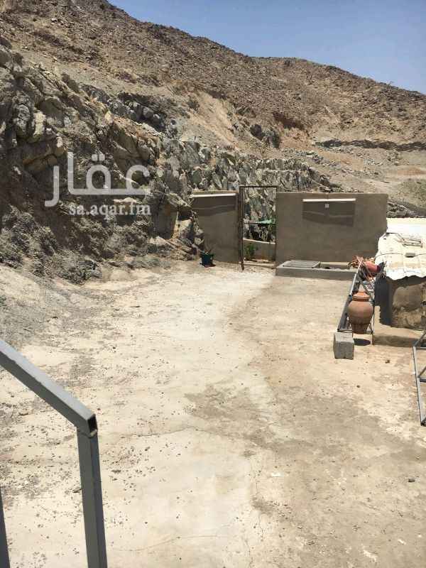 1288303 شقتان الشقه الأولى 4 غرف ومطبخ وصاله ودورتان مياه ومجلس رجال ودوره مياه بالخارج الشقه الثانيه 3 غرف غرفه بدورة مياه داخليه وغرفتان ودورة مياه ومطبخ وحوش بالخلف ومجلس رجال +دورة مياه + مشب ومساحه كبيره بالجبل عداد كهرباء+ هاتف+عداد ماء + صرف صحي للتنبيه المنزل بدون صك مدة البناء 10 سنوات;<br>450،000. قابل للتفاوض <br>0566990504<br> <br><br>