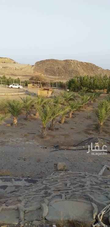 1610033 مزرعة يوجد فيها ابار ونخيل وبزرومي ولوز وسدر ونيم وكافوري ويوجد فيها اصطبل خيل وعدادكهرباء وتبات جبليه مدركنه ودخل من الشارع الرئيسي المتجه الى مزرعة يزن