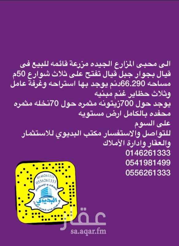 1348857 السوم ٣٠٠ الف