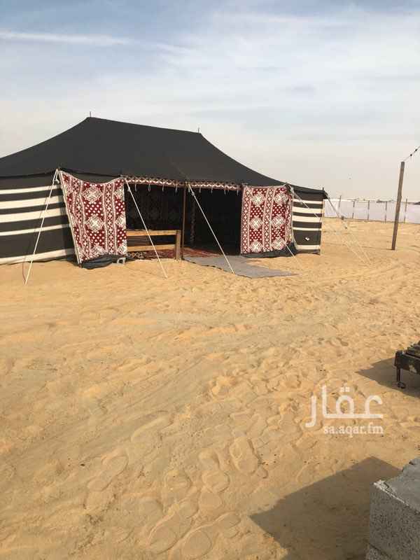 1272761 مخيم للايجار طريق الدمام الرياض على طريق وصلة المطار #مخيمات #استراحات #مخيم #رتويت #رتويت #رتويت
اجار مخيم عزاب يومي و شهري بارخص الاسعار مكون من :
- بيت شعر 8 في 5 مفروش .
- مقلط خيمة 8*5 مفروش .
- دكة خارجية مفروشة .
- دورة مياه .
- برميل مندي .
- غاز للطبخ .
- ملعب طائرة .
- إنارة كاملة للمخيم .
يتوفر لدينا اجار يومي و شهري بارخص الاسعار
للاستفسار الاتصال 0567794469
من الاحد - الاربعاء 300
ايام الويكند ( الخميس ، الجمعة ، السبت ) اليوم الواحد 550