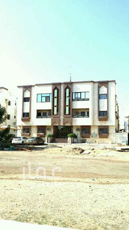 1595407 عمارة في الفيصلية البلوي750
٥ شقق مكونة من ٥ غرف بمنافعها
مؤجرة بالكامل
٢٥ الف ريال * ٥ = ١٢٥ الف ريال
-
شقة مكونة من ٣ غرف بمنافعها
١٧ الف ريال
-
شقة غرفتين مؤجرة ١٣ الف ريال
فرصه مكان للمصعد العرض للزبون فقط0535285286
