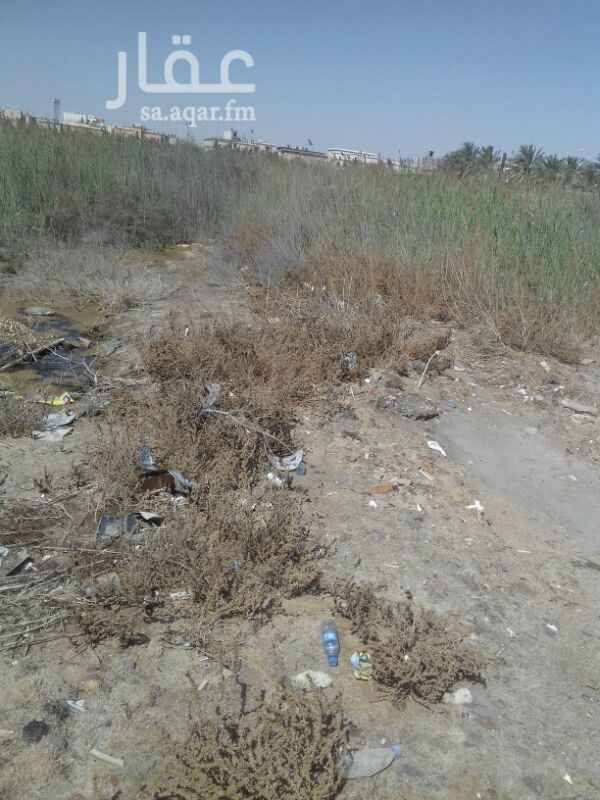 974902 مزرعة بالجارودية النخيل المسمي التوبي مساحة 1650 ريال عرضها 20 متر قريبة من المباني صك الكتروني جديد إفراغ للبيع مليون و مئة وخمسون الف قابل للتفاوض للمفاهمة الاتصال علي أبوعبدالله 0568135595