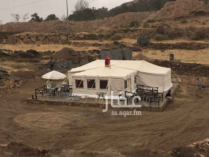1022317 مخيم للمناسبات والطلعات
في تنومة / الاربوعة
يحتوي على قسمين خيمتين كبيرة مع دورات مياة ومطبخ مستقل لكل مخيم
يمكن تاجيرها مع بعض او منفصلة بالساعة او بالوجبة