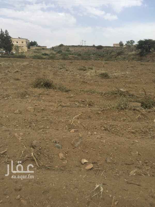 1651604 قطعة ارض للاجار بصك زراعي مستويه موقع مميز بجوار مخطط ثروات ابها مساحتها ٣٠٠٠ م تصلح لاي استثمار ملعب كرة قدم او اسكانات وشاليهات ريفية الجاد رقم ٠٥٦٩٤٣٤٣١٤ ابو هاشم