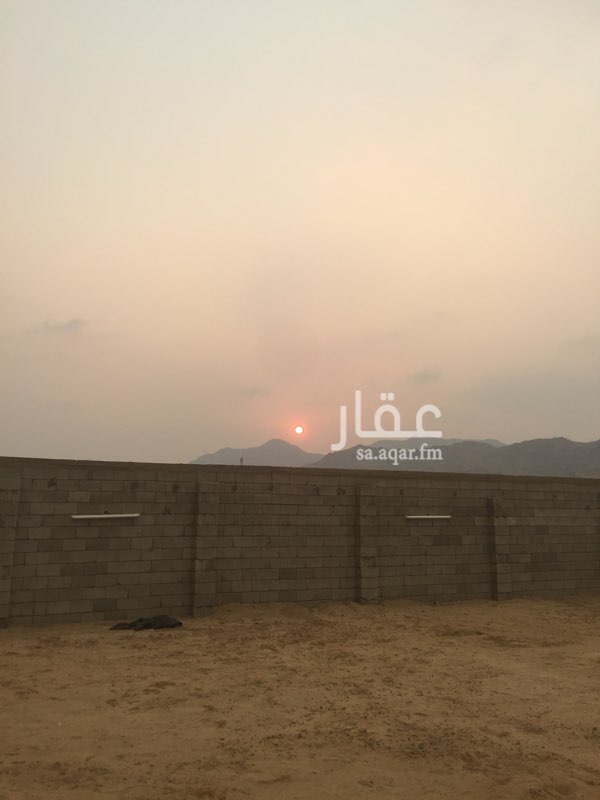 1220955 حوش بوثيقه يقع في أم دوحه خلف مسجد عمر بن الخطاب مساحة 600 داخله غرفه 5*7ومطبخ2*3وحمام3*2 جاهزه موأسسه بلكامل من كهرب وسباكه وبلاط وتليس بعداد كهرباء 70امبير اتواصل