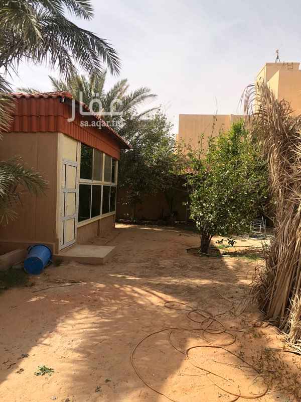 1364904 خلف مستشفى ثادق
جميع الخدمات موجوده في الاستراحة ومجددة ومؤثثة يوجد ١٢ نخلا برحي وسكري واخلاص وصقعي
وجميع الخدمات الحكومية متوفرة مدارس مساجد والاحوال والجوزات والشرطة والمحكمة وحديقة عامة وكذالك الاستراحة في وسط حي سكني ..