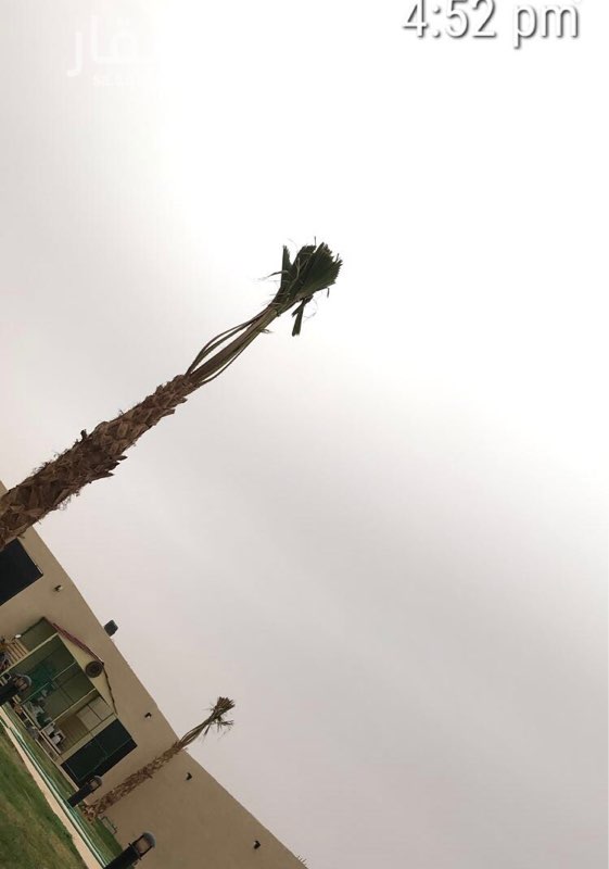 1710695 استراحة في حي البيان
تحتوي:
مجالس
غرفة طعام
مجلس ارضي
و دورتين مياه
وجلسه خارجيه ارضيه
ومصطحات خضراء
و حيوانات اليفه
