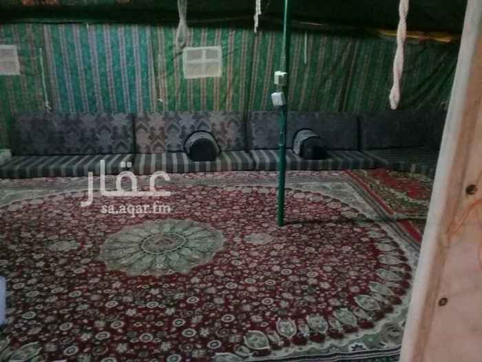 1275656 القسم الوحيد
