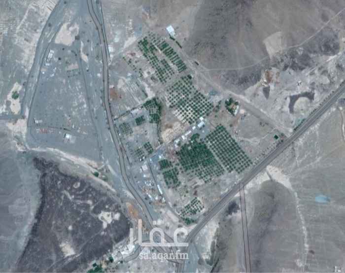 1388080 نخيل عجوة
وتربة طيبة
مياة وفيرة
بركة كبيرة
استراحة
صك
يقبل السوم