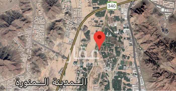 1695822 مزرعة نموذجية على الوادي وعليه مشاريع مميزة.