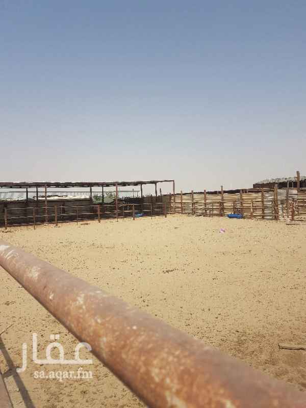 أرض للإيجار فى المملكة العربية السعودية صورة 1