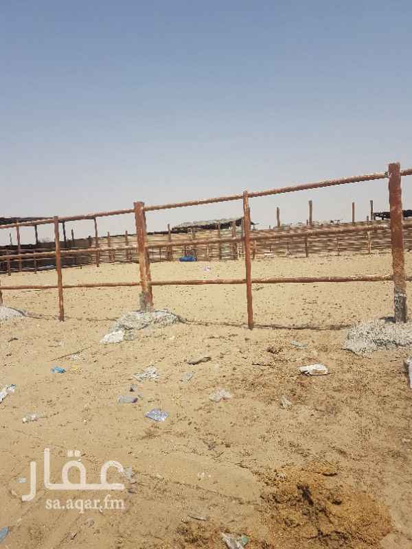 أرض للإيجار فى المملكة العربية السعودية صورة 3