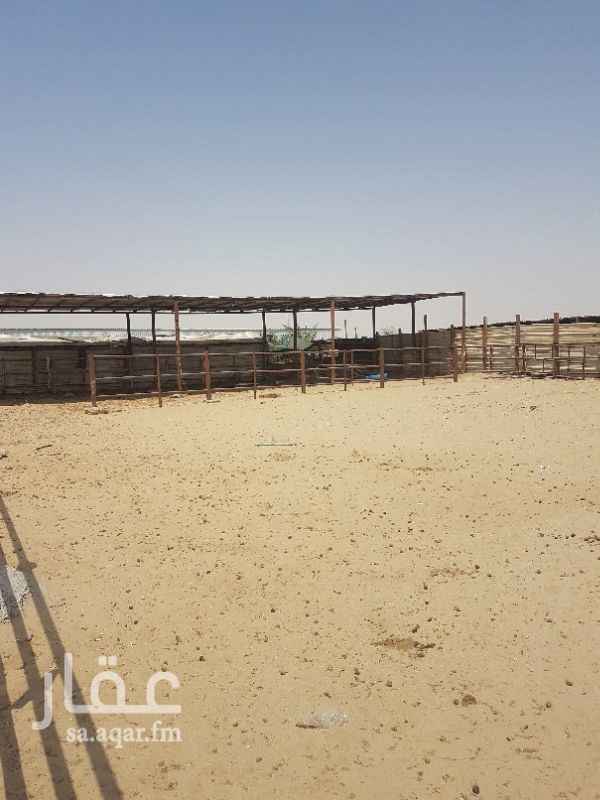 أرض للإيجار فى المملكة العربية السعودية صورة 4