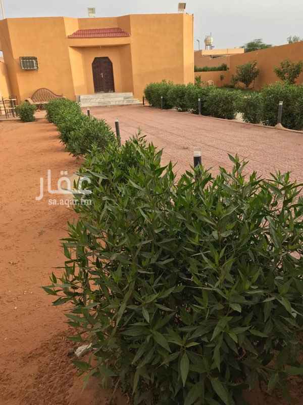1552728 الموقع
ديراب خلف جامع النشوان
المساحة 3000 ثلاثة آلاف متر
على شارعين شرقي 15 شمالي 12
فله مساحتها 150 متر 4 غرف وصاله ومطبخ و3 حمامات
قسمين قسم حريم وقسم رجال
قسم الحريم مسبح وقسم الرجال مسبح + ملعب كرة قدم + مجلس خارجي شعبي بمشب
حظائر طيور واغنام
ملاحظة :
انا المالك ولايوجد سعي .