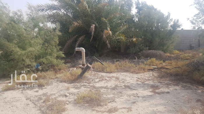 1589555 مزرعة في الطفيح - الجبيل تتكون من ثلاثة صكوك كل صك 50,000 متر مربع تطل على 3 شوراع عرض 50 م، مدفونة تصلح للمصانع، يوجد امكانية التأجير بسعر 10 ريال للمتر، السعر أعلاه في حال الشراء لكامل الأرض وفي حال شراء صك واحد يمكن ذلك لكن سعر المتر يخضع للتفاوض، الأرض مسورة بحجر بلك كما في الصور.