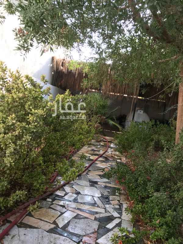 957762 بيت شعبي للاستفسار ٠٥٠٤٦٠٢٧٠٤
مستودع وسكن للشركات
١٠ غرف ٤×٤ وكذلك ٤×٥ سيراميك كل غرفه
بحمام
)كل غرفه مكيف جديد راكب( شباك او سبيلت
٤مطابخ
مستودع ١٢م×١٢م
٧ حمامات خارجيه سيراميك
موقع ٣غسالات كبيره
موقع شواء مجهز+
حديقة داخليه
موقف داخليه ٤ سيارات
نظام كمرات حمايه
موقف خارجيه ٧ سيارات
تلفون
ماء عين
كهرباء
موقع استراتيجي السامر. قريب للمطار١٥ دقيقه، (٣ دقايق خط هدى الشام، و٥ دقايق الخط السريع، و٦ دقايق شارع التحلية و١٠ دقايق فلسطين )
ممكن استأجار الغرف مفردة او المستودع فقط