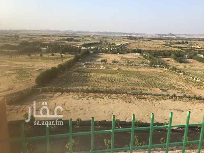 1131906 الموقع ش جامعة جدة والصناعية الجديدة والدائري الثالث يبعد كيلو ونصف تقريبا ويوجد بها عداد كهرباء
المزرعة بصك جديد من المحكمة ومحوشة بالكامل محاطه بالأشجار
مقسمة لثلاث أقسام
الارض الاولى مايقارب ١٥٠٠م٢ استراحة في الجبل على ارتفاع ٢٥ تقريبا من غرفتين و ٢ دورات مياه ومسبح و٢ جلسات مفتوحة
الارض الثانية ما يقارب ٢٥٠٠م٢ على ارتفاع حدود ١٠م٢ تقريبا
الارض الثالثة باقي المساحة توضحها الصور المرفقة
منطقة حيوية ومزدهرة وناشئة المزرعة للبيع أو الايجار حسب النشاط